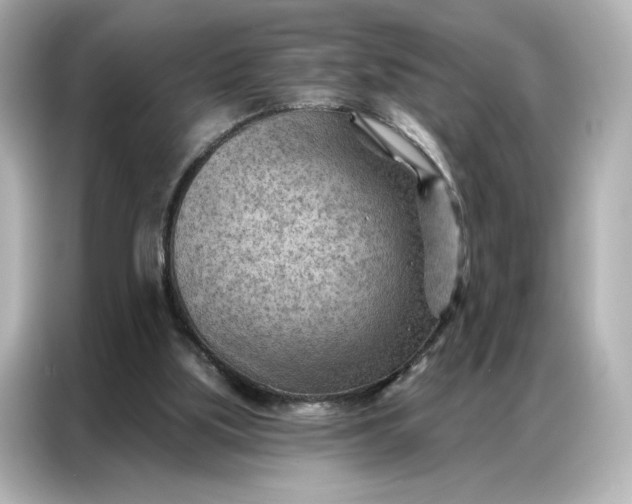 X0000086980059200704301326