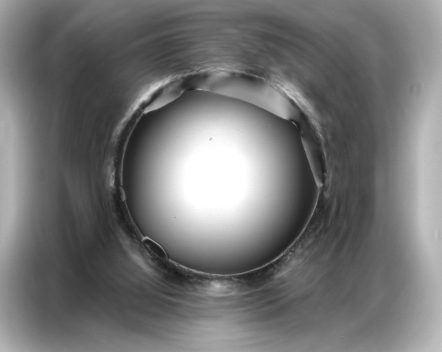 X0000086980060200704301326