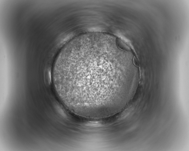 X0000086980061200704301326