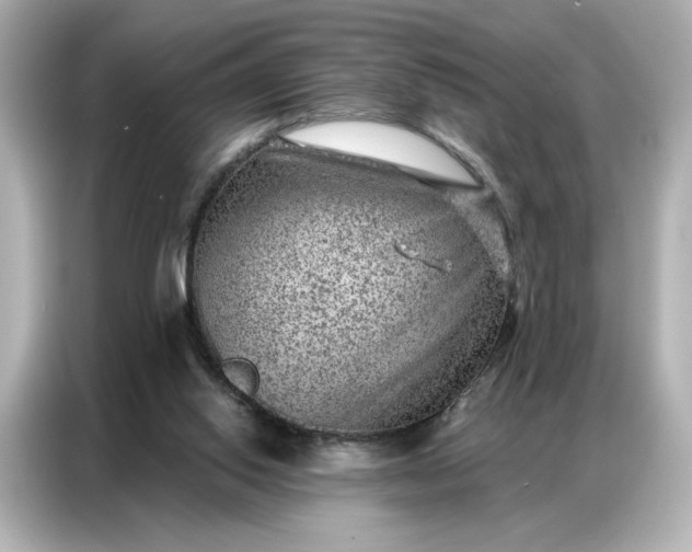 X0000086980062200704301326