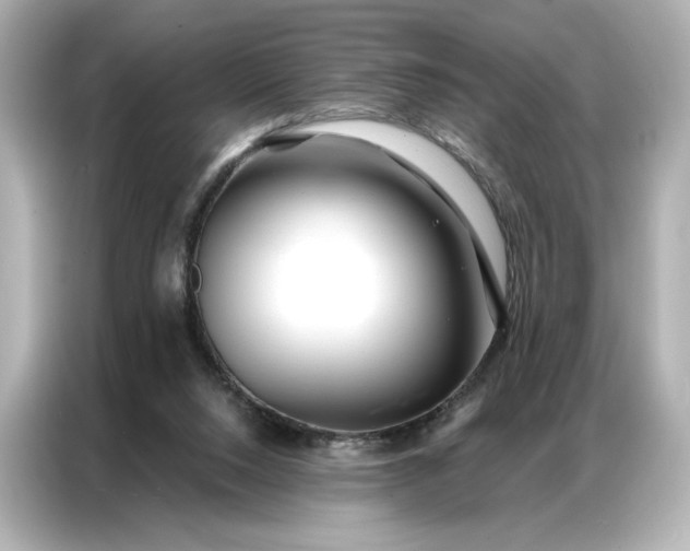 X0000086980064200704301326