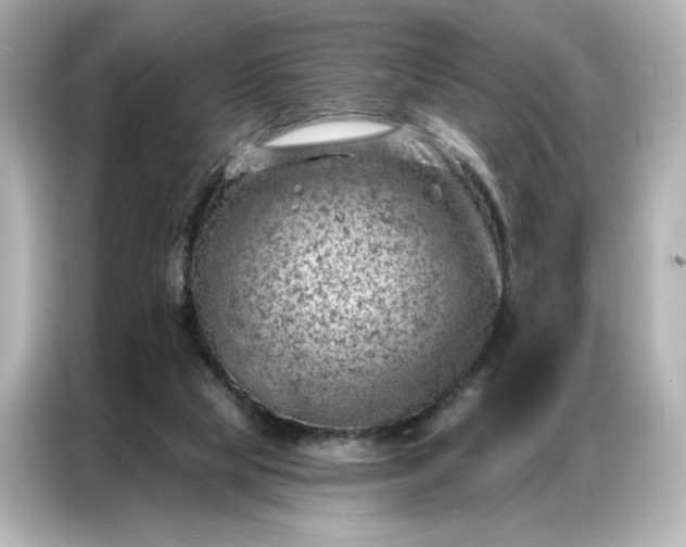 X0000086980065200704301326