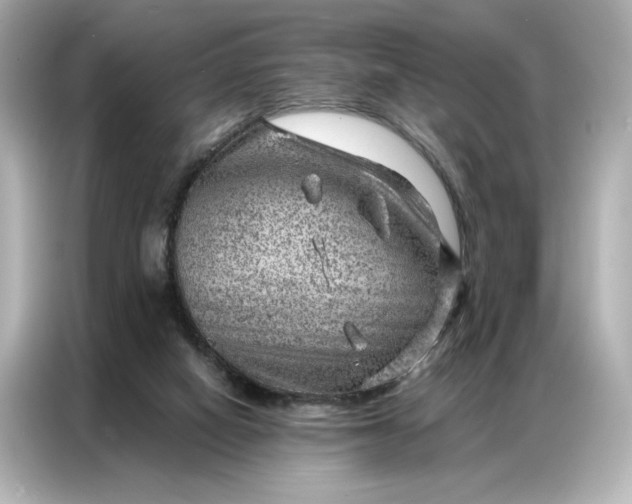 X0000086980066200704301326