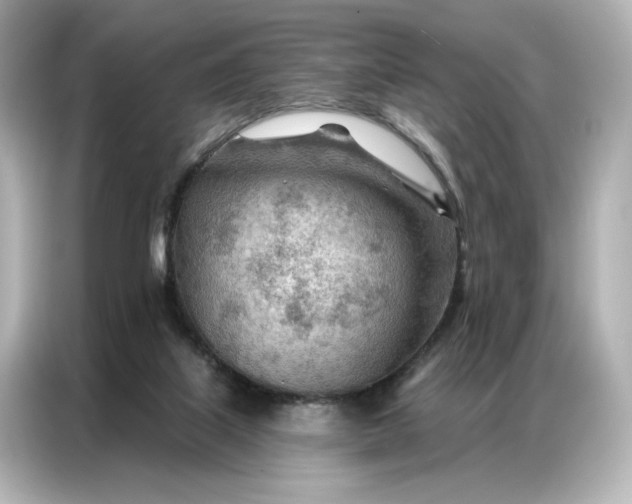 X0000086980067200704301326