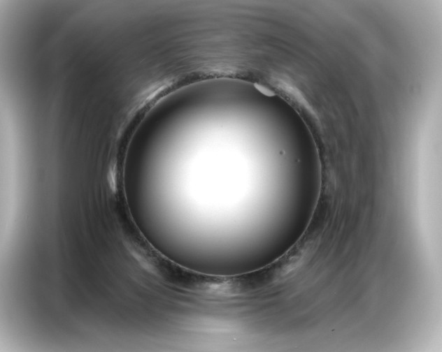 X0000086980068200704301326