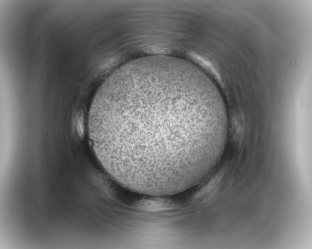 X0000086980069200704301326