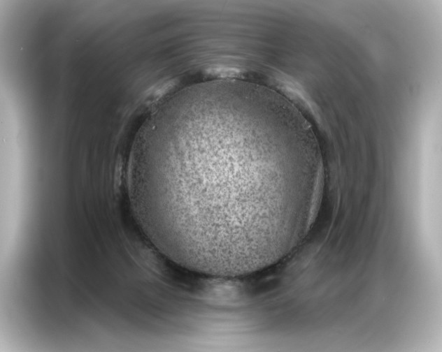 X0000086980073200704301326