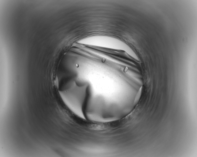 X0000086980074200704301326