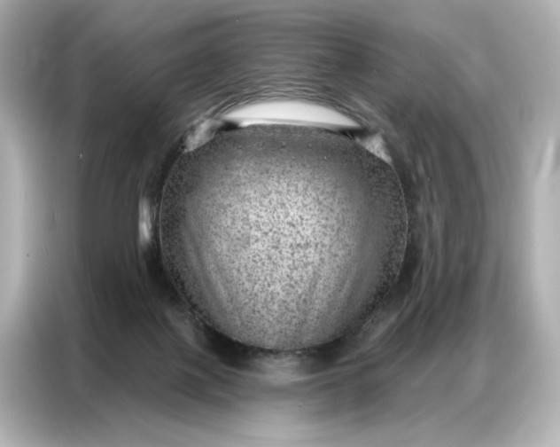 X0000086980075200704301326