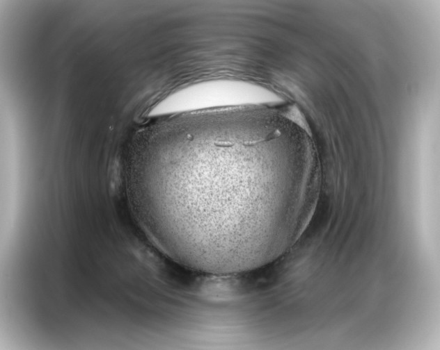 X0000086980077200704301326