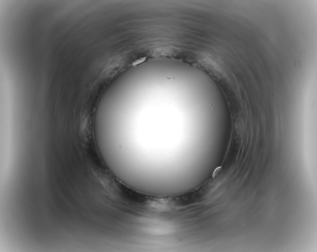 X0000086980079200704301326