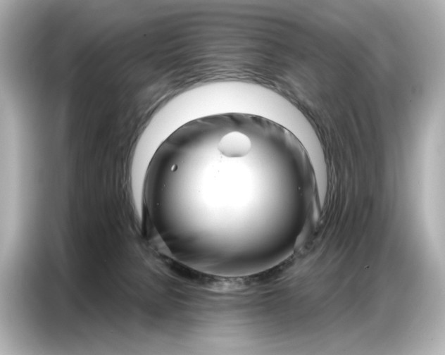 X0000086980080200704301326