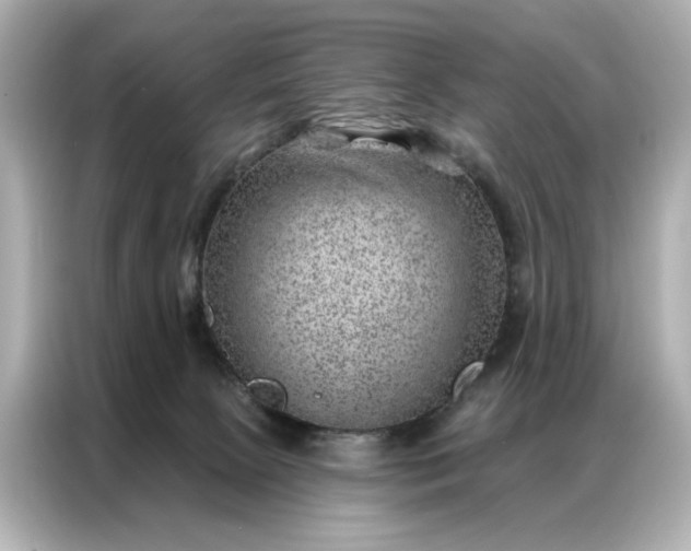 X0000086980081200704301326