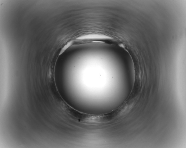 X0000086980084200704301326