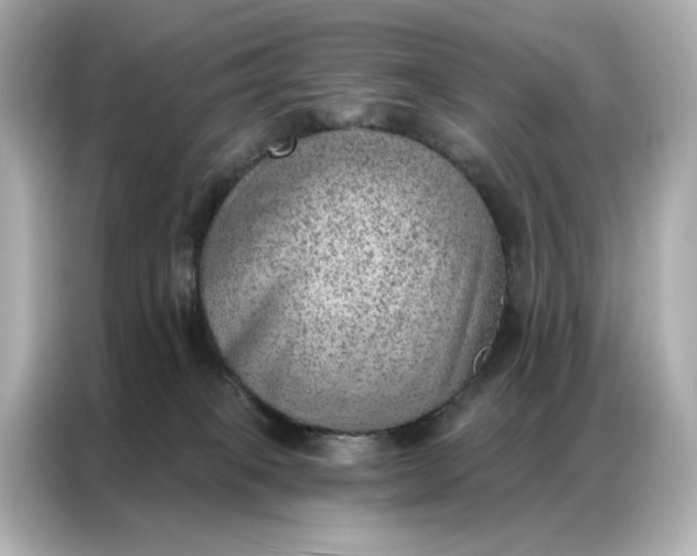 X0000086980085200704301326