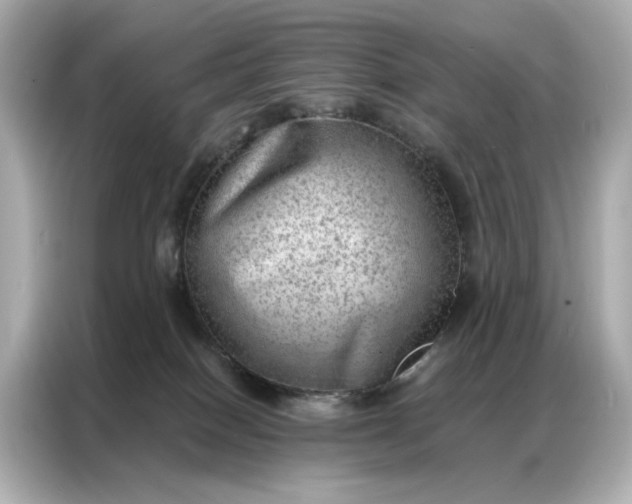 X0000086980086200704301326