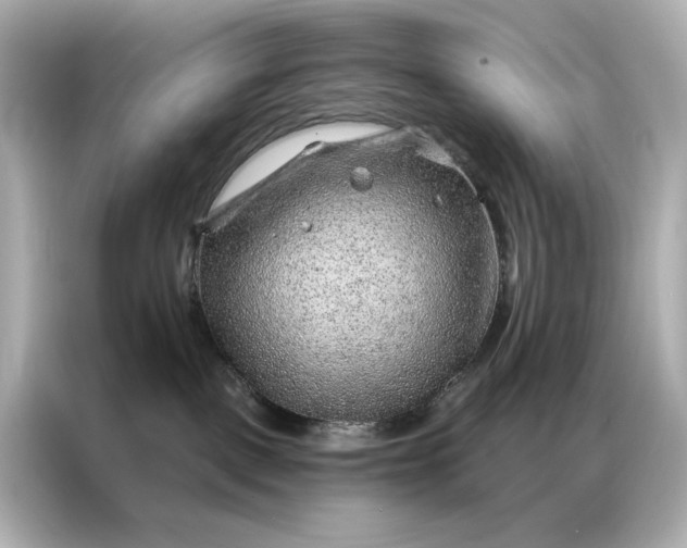 X0000086980093200704301326