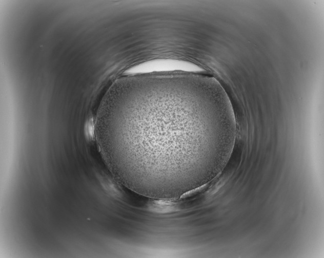 X0000086980095200704301326