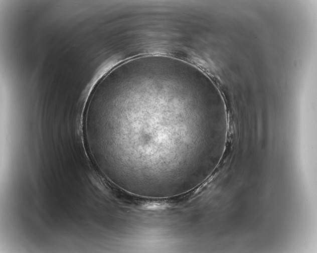 X0000086980099200704301326