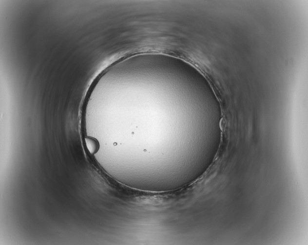 X0000086980100200704301325