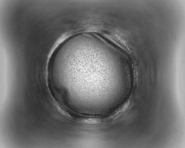 X0000086980102200704301325