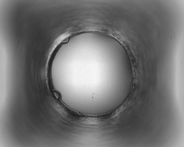 X0000086980104200704301325