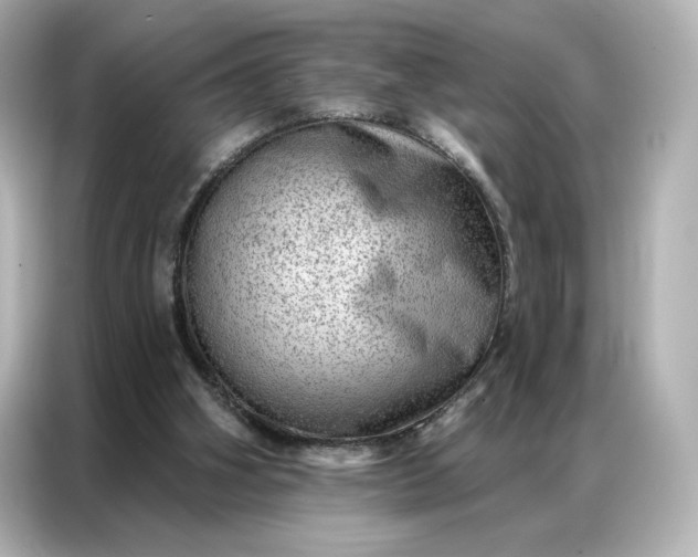 X0000086980106200704301325