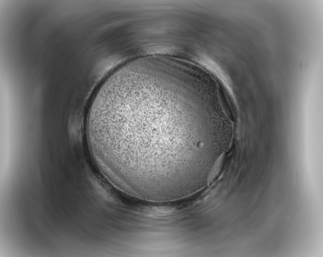 X0000086980107200704301325