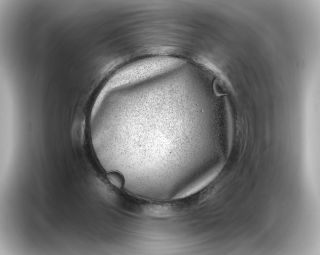 X0000086980110200704301325