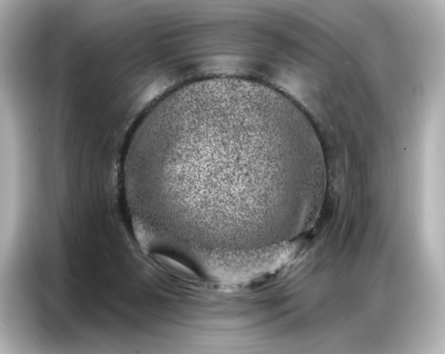 X0000086980111200704301325