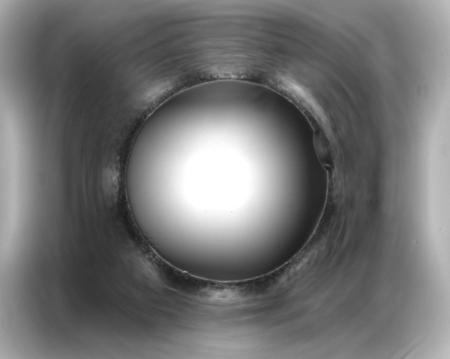 X0000086980113200704301325