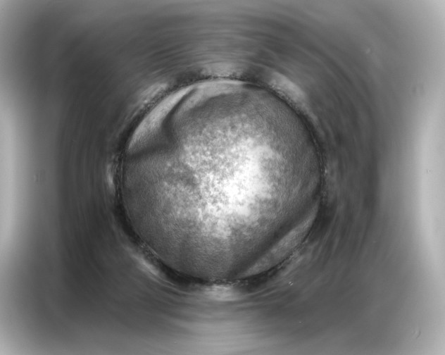 X0000086980114200704301325