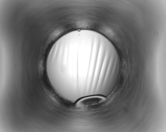 X0000086980116200704301325