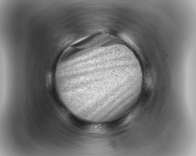 X0000086980117200704301325