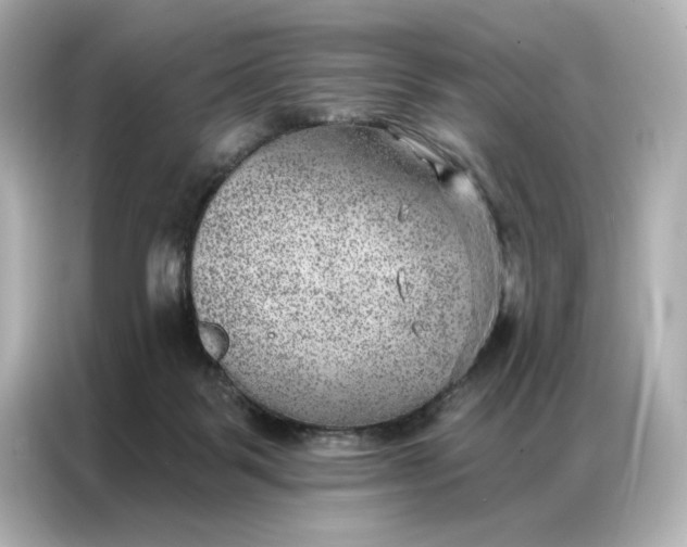 X0000086980123200704301325