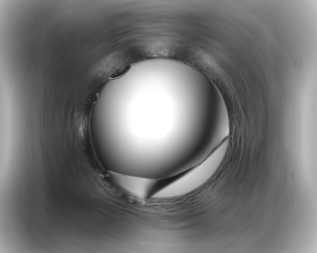 X0000086980125200704301325