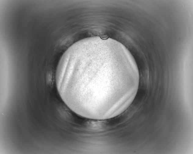 X0000086980134200704301325