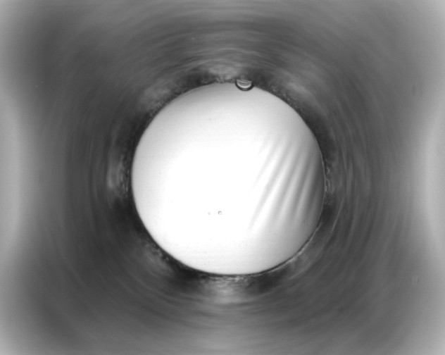 X0000086980136200704301325