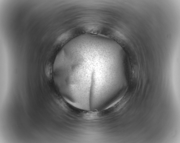 X0000086980138200704301325