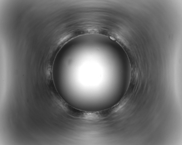 X0000086980141200704301325