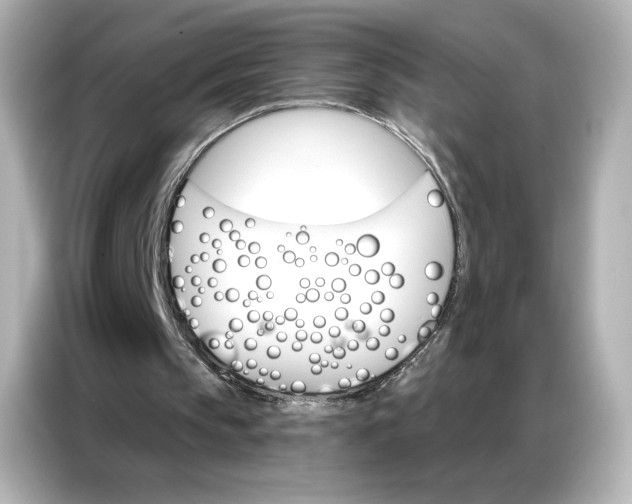 X0000086980145200704301324