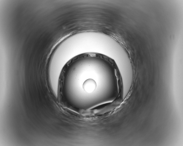 X0000086980146200704301324