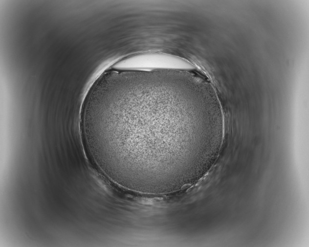 X0000086980147200704301324