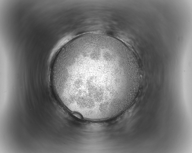 X0000086980149200704301324