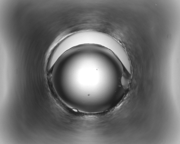 X0000086980150200704301324