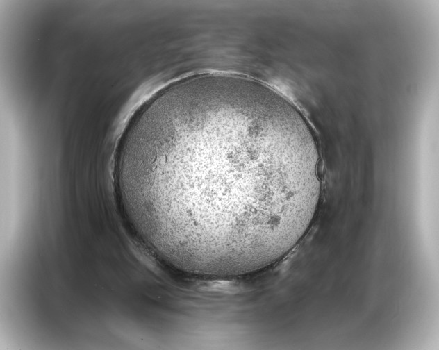 X0000086980151200704301324