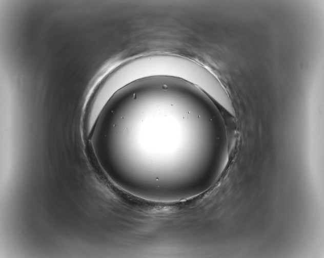 X0000086980152200704301324