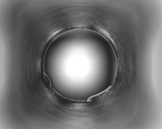 X0000086980154200704301324