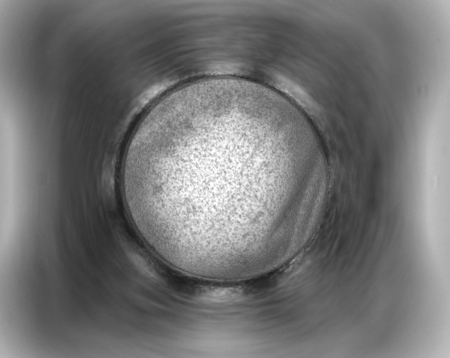 X0000086980155200704301324