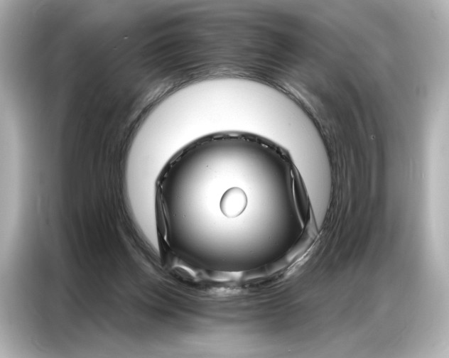 X0000086980158200704301324